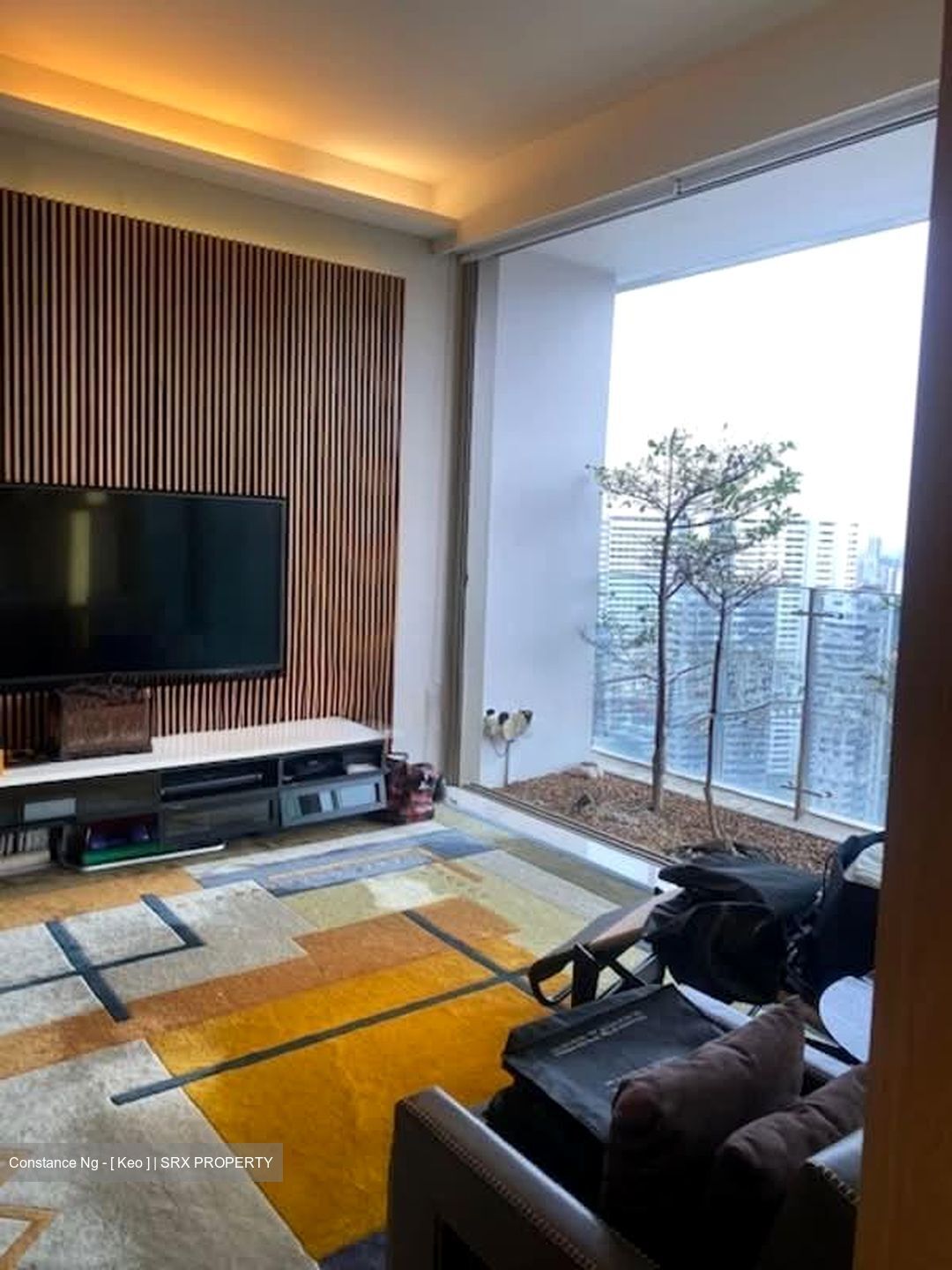 Scotts Square (D9), Apartment #530157021